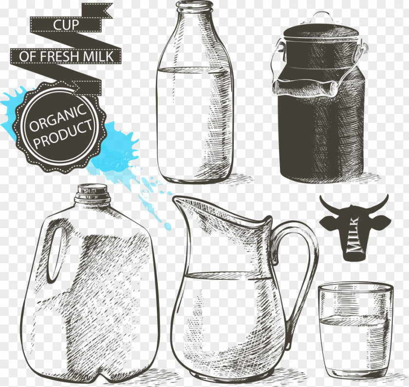 Vector Sketch With Glass Of Milk Bottle Cup Drawing Mason Jar PNG