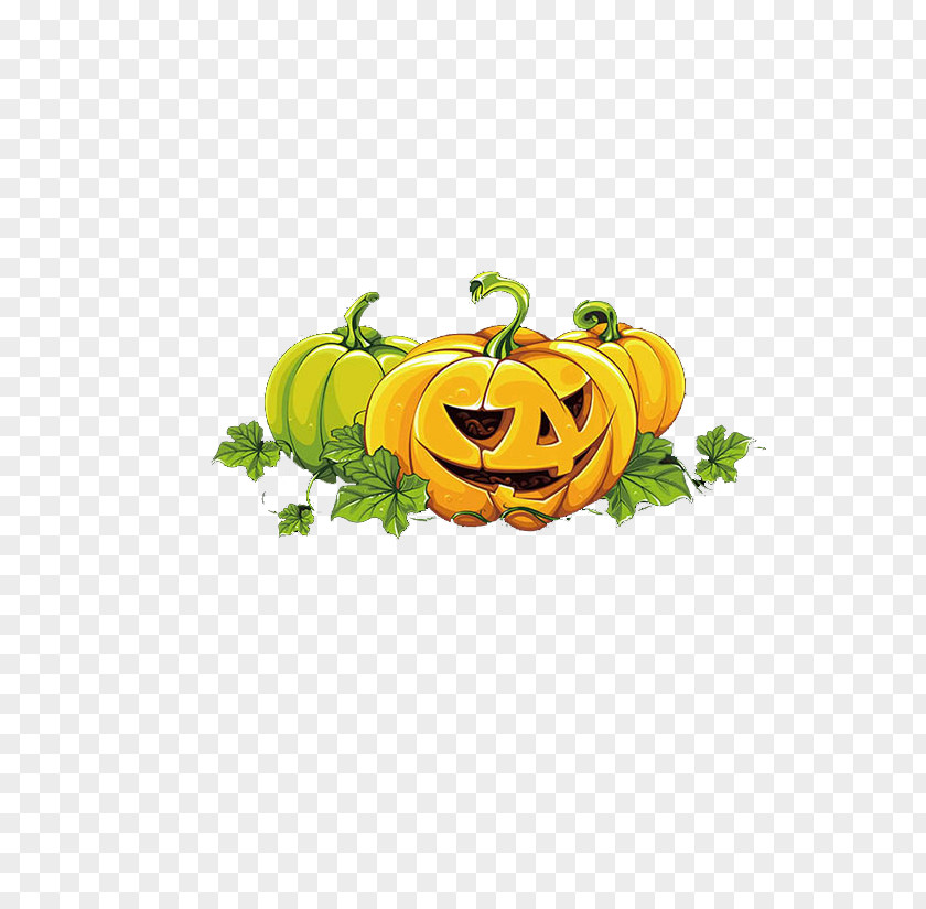 Halloween Pumpkin Head Calabaza Jack-o-lantern PNG