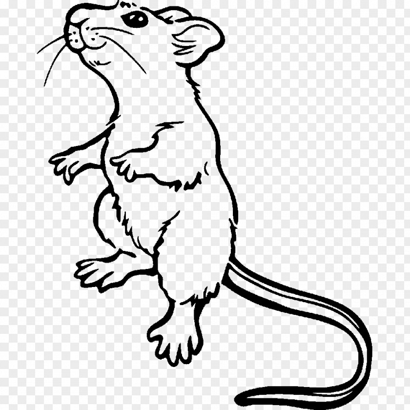 Mouse Brown Rat Coloring Book Laboratory Drawing PNG