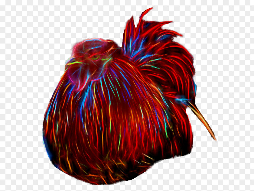Rooster Chicken Galliformes PNG