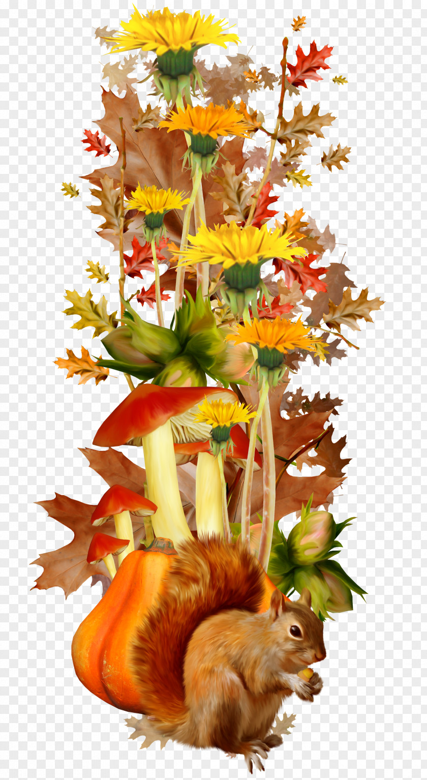 Autumn Flowers PNG