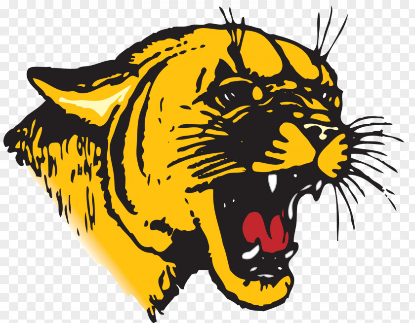 Enrolled Tiger Wildcat Lion Mascot Decal PNG
