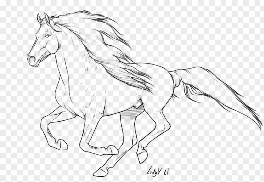 Mustang Arabian Horse American Quarter Mane Pony PNG