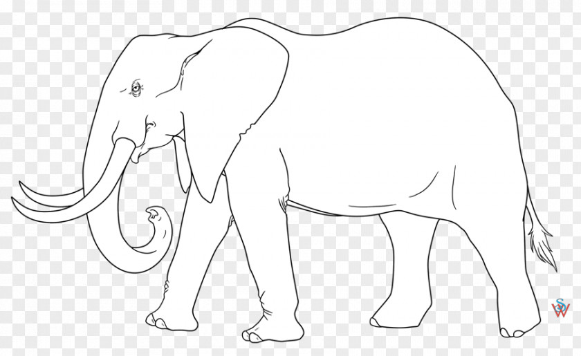 African Elephant Indian Pack Animal Mammal Sketch PNG