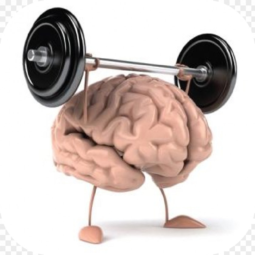 Brain Physical Exercise Fitness Mental Health Cognitive Training PNG