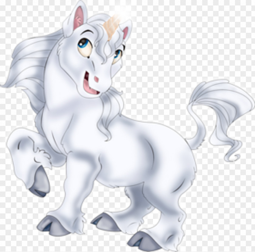 Cat Whiskers Horse Pony Mammal PNG