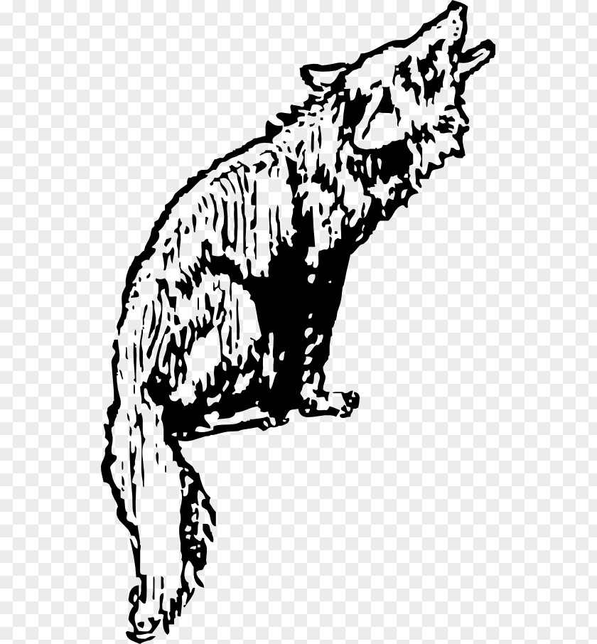 Coyote Gray Wolf Clip Art PNG