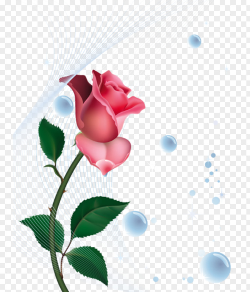 Rose Desktop Wallpaper Flower Clip Art PNG