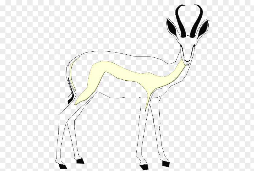 Springbok Deer Gazelles Line Art PNG