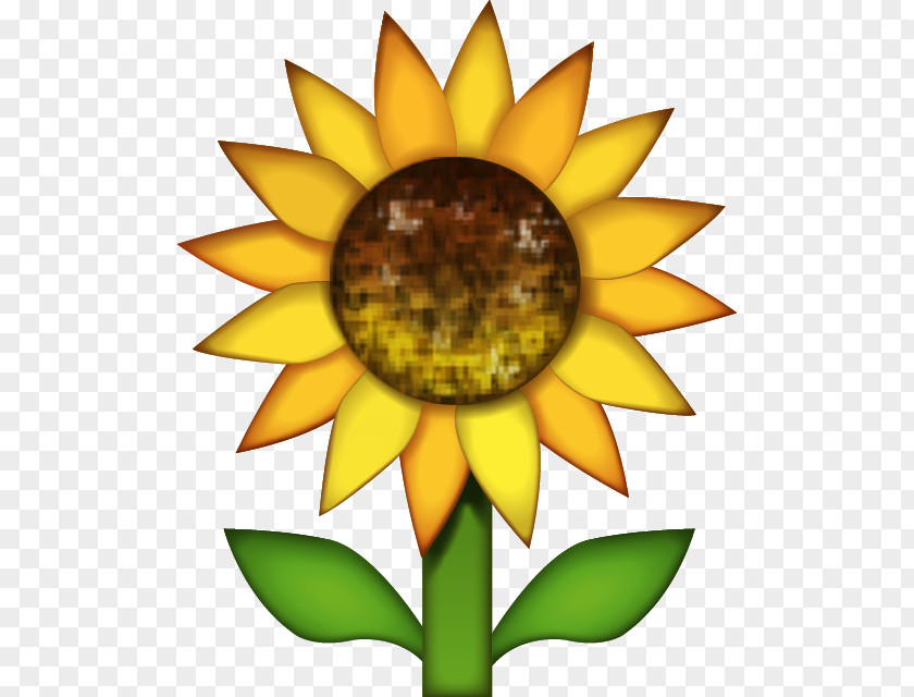 Sunflowers Emojipedia Common Sunflower Sticker IPhone PNG