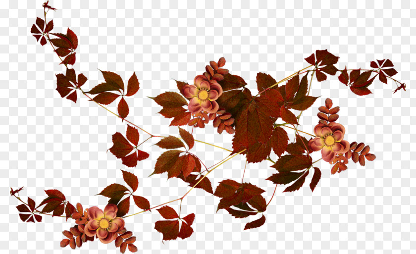 Autumn Leaves Picture Frames PNG