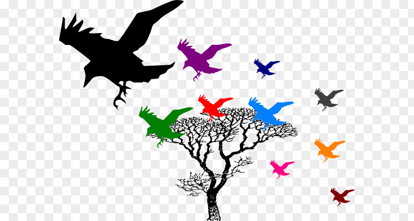 Crow Hooded Revelation 12 Common Raven Family PNG