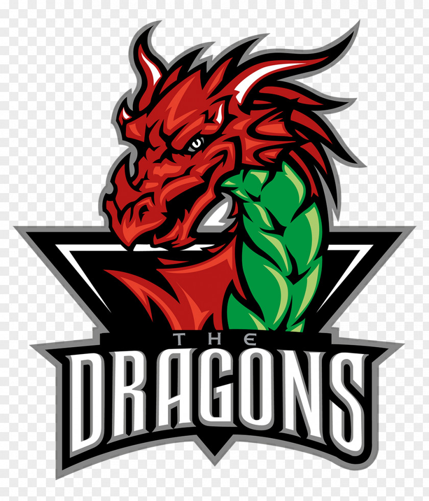 Hockey Deeside Dragons Telford Tigers Flintshire Freeze National Ice League PNG