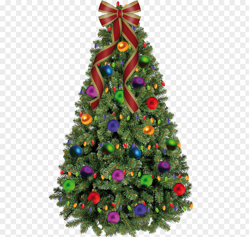 Trees Christmas Tree PNG