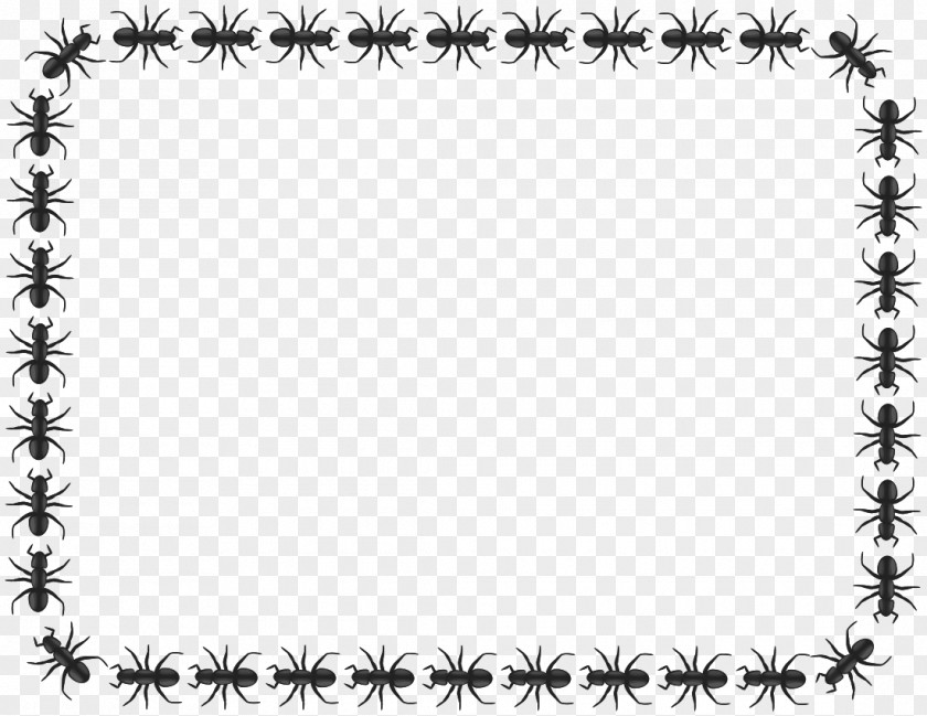 ANIMAl Ant Clip Art PNG