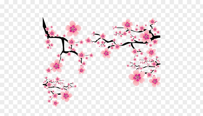 Bloom Background Cherry Blossom Vector Graphics Desktop Wallpaper Illustration PNG