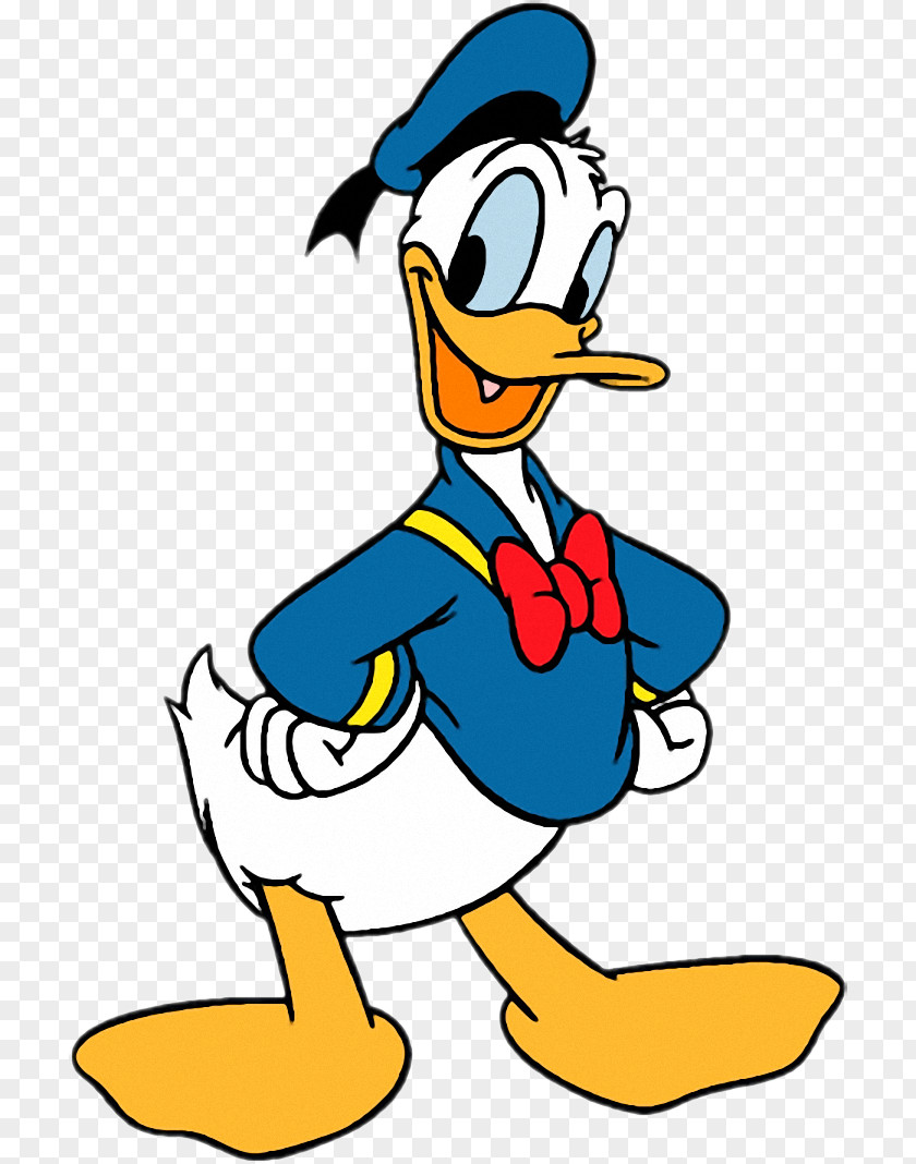 Donald Duck Daisy Daffy Mickey Mouse PNG