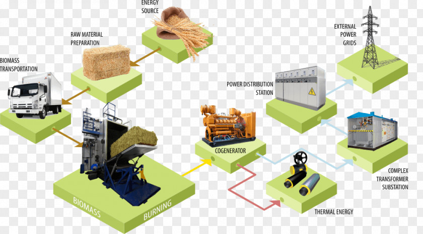 Energy Lignocellulosic Biomass Power Station Bioenergy PNG