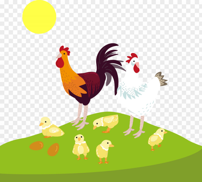 Vector Cartoon Rooster Hen Chicks Sunrise Chicken PNG