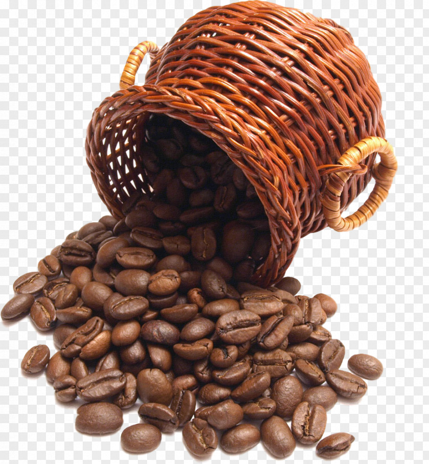 Cocoa Bean Food Caffeine Jamaican Blue Mountain Coffee Java Plant PNG