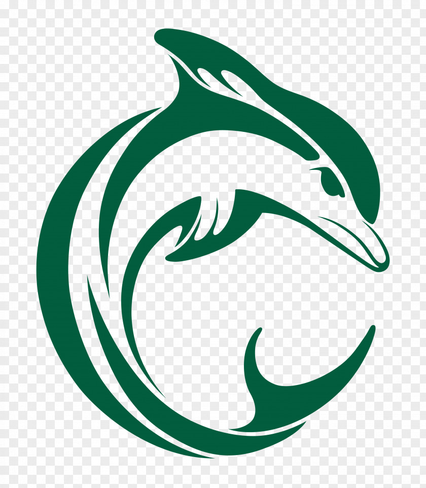 Dolphin T-shirt Logo Graphic Design PNG
