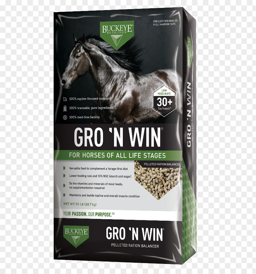 Grazing Goats Horse Dietary Supplement Nutrition Nutrient Vitamin PNG