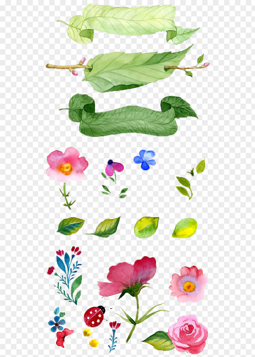 Hand-painted Flowers Watercolor Painting Flower Illustration PNG
