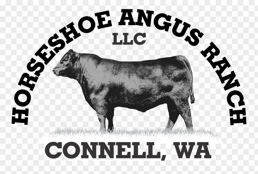 Hereford Cattle Bull Angus Beef Ox Calf PNG