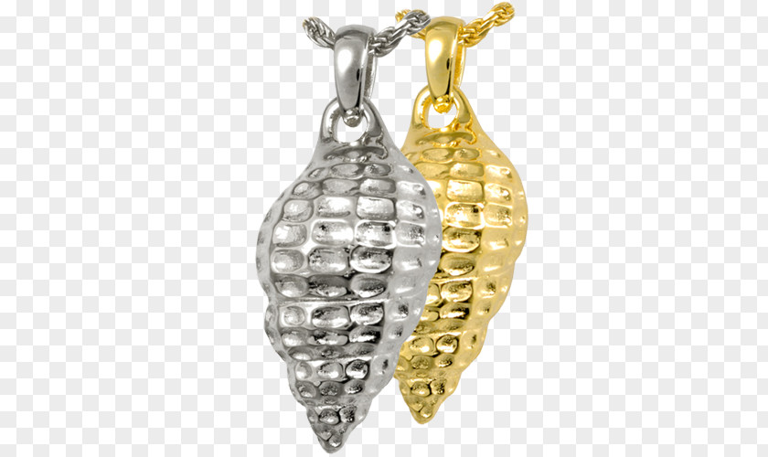 Jewellery Locket Earring Charms & Pendants Charm Bracelet PNG