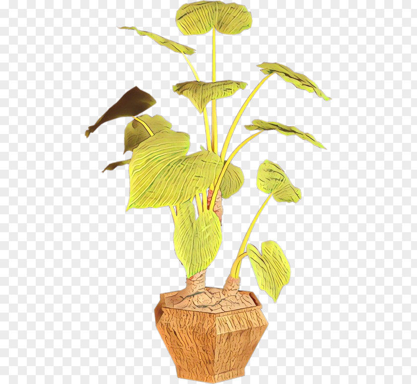 Leaf Flowerpot Plant Stem Houseplant PNG