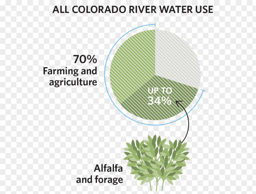 Alfalfa Colorado River Water Food PNG
