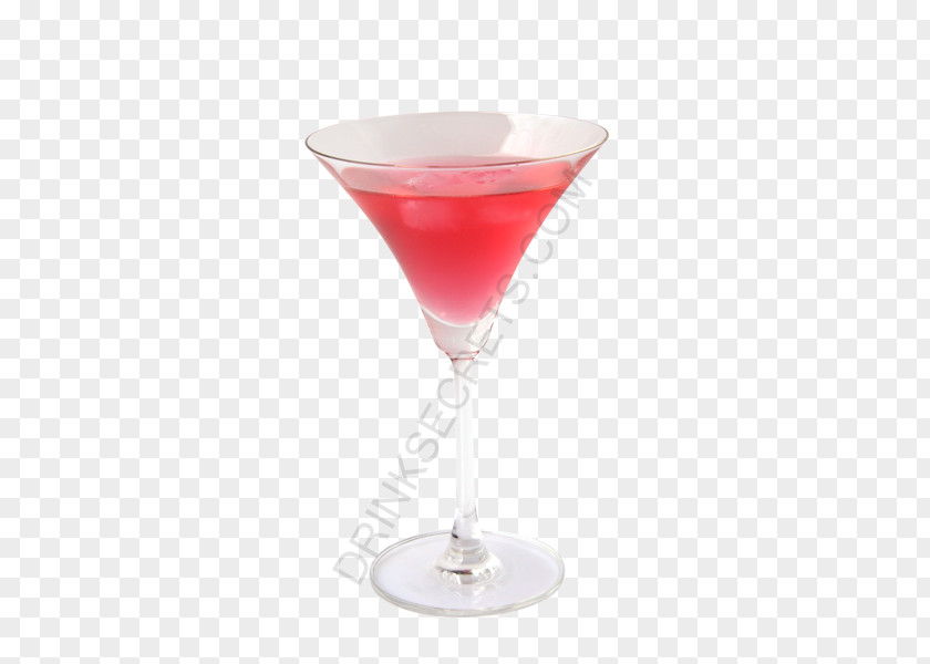 Club Drink Cocktail Tequila Martini PNG