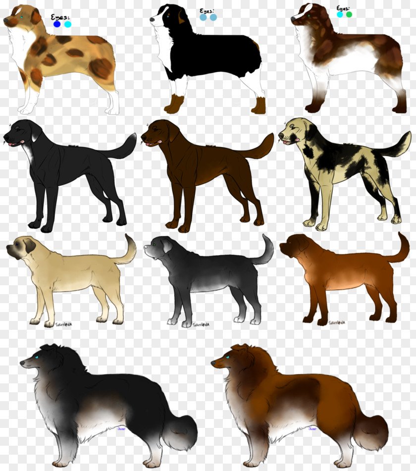 Dog Breed Companion Tail PNG