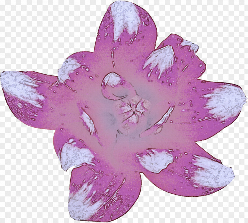 Herbaceous Plant Flower Lavender PNG