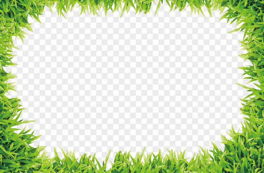 Small Grass Frame Material Lawn Download Image File Formats PNG