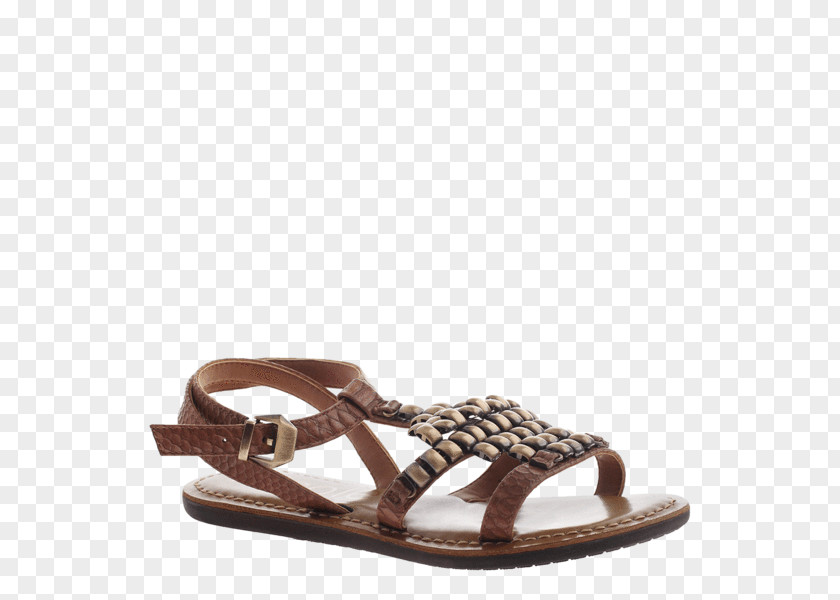 Flat Footwear Slide Shoe Sandal Walking PNG