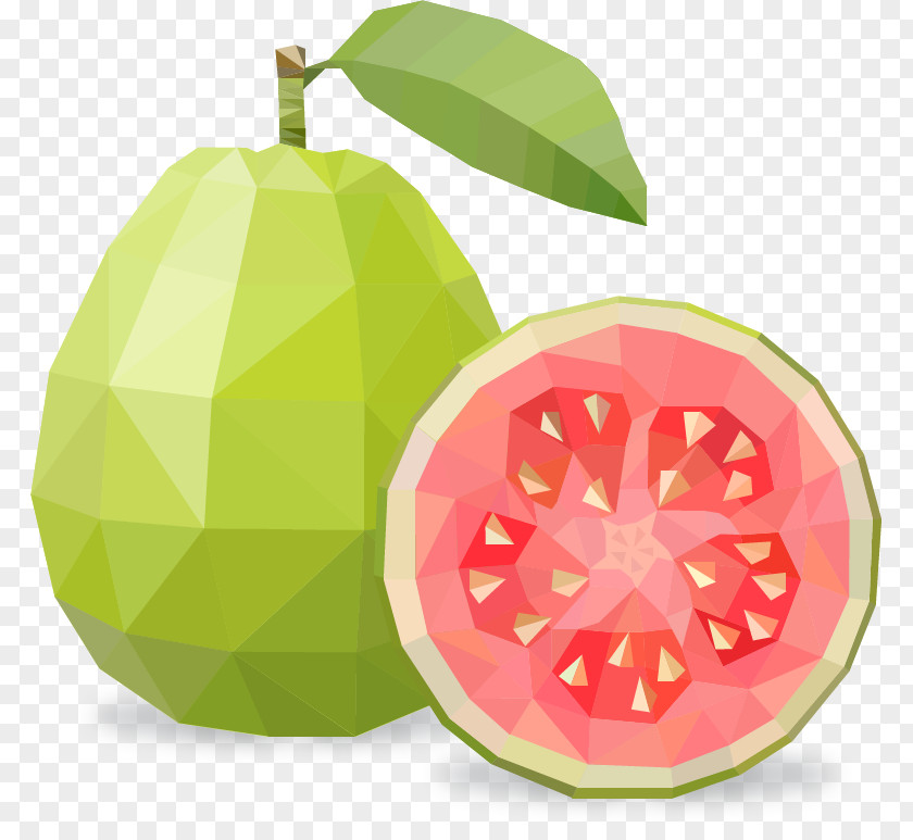 Guava Fruit Clip Art PNG