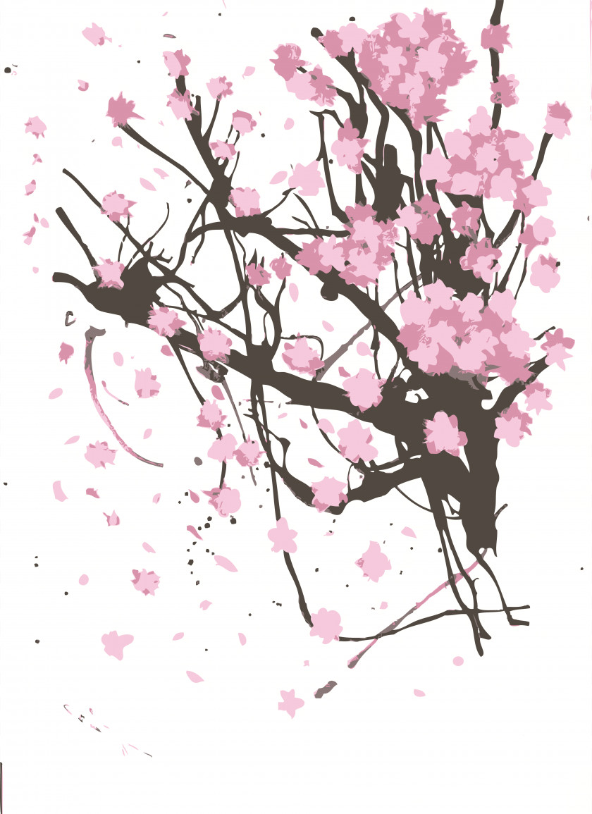 Sakura Cherry Blossom Drawing Painting Art PNG