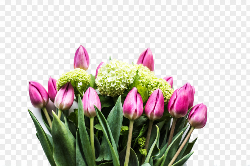 Pink Tulips Happy Birthday To You Wish Greeting Card PNG