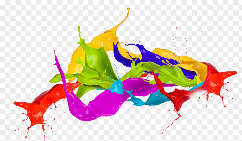 Splash Transparent Color Holi Clip Art PNG