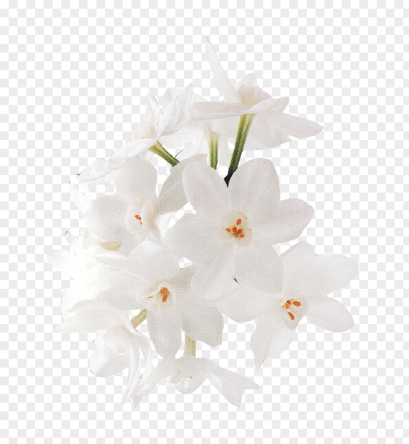 Bouquet Of Flowers Vector Material,White Floral Design White Flower PNG