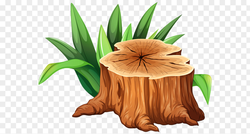 Clip Art Tree Stump Trunk PNG