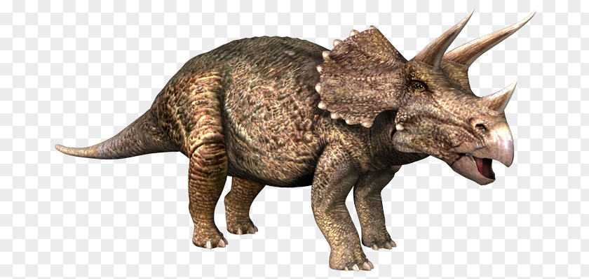 Dinosaur Triceratops Pachyrhinosaurus Einiosaurus Late Cretaceous PNG