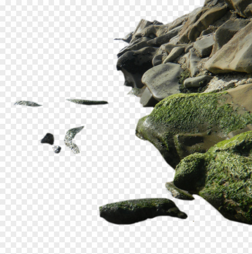 Sea Rock Clip Art PNG