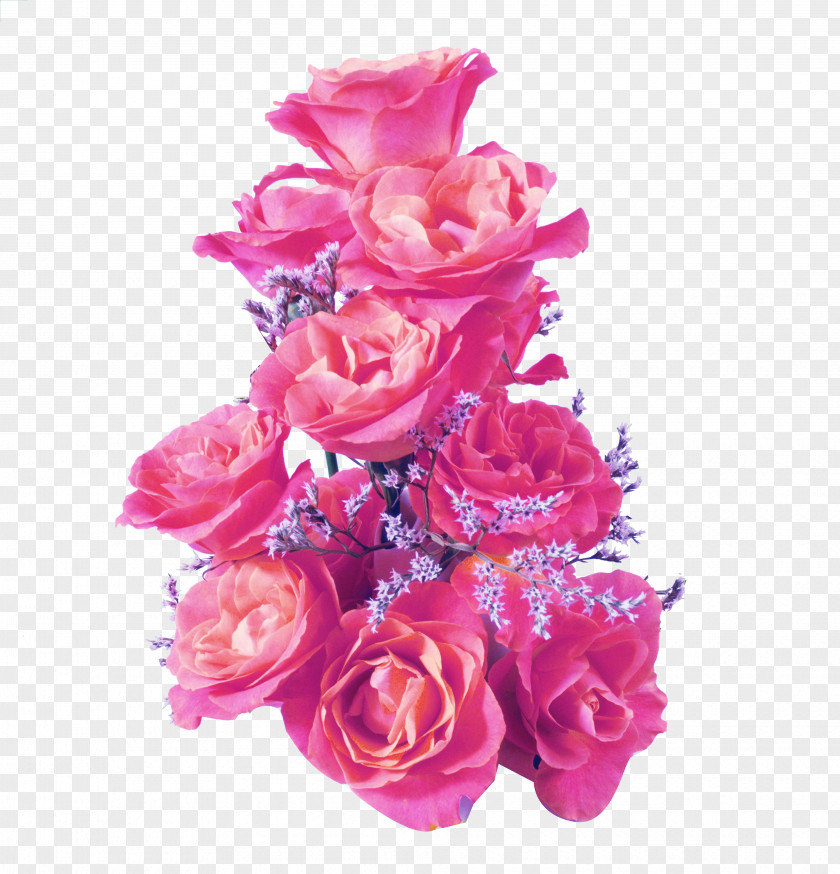Pink Rose Petals Quotation PNG