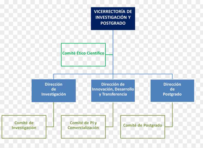 Rip Organizational Chart Directorate Of Research And Graduate Studies, UAQ University Atacama PNG