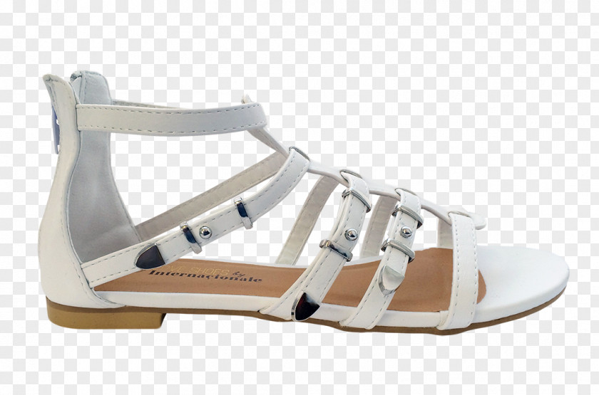 Sandal Wedge Shoe Buckle PNG