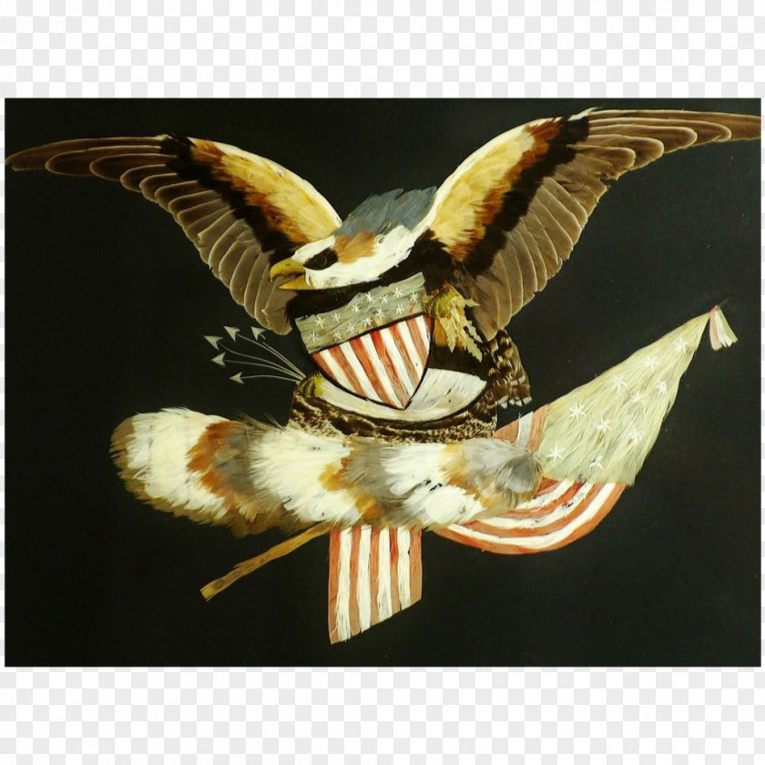 Bird Bald Eagle Folk Art Feather PNG