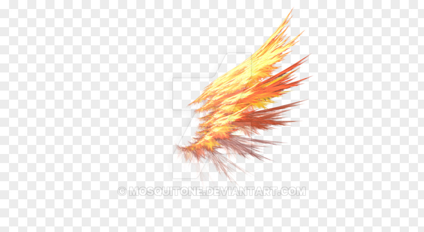 Dragon Winged Azrael Angel Earth Reincarnation Child PNG