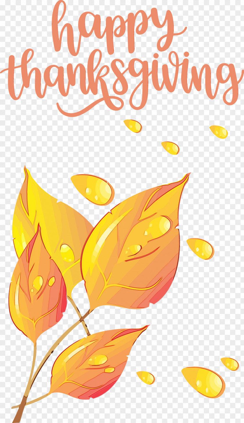 Floral Design PNG